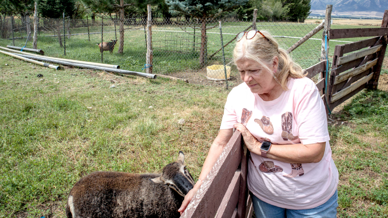 Utah couple spent 14 years saving 25.5-acre farm from development