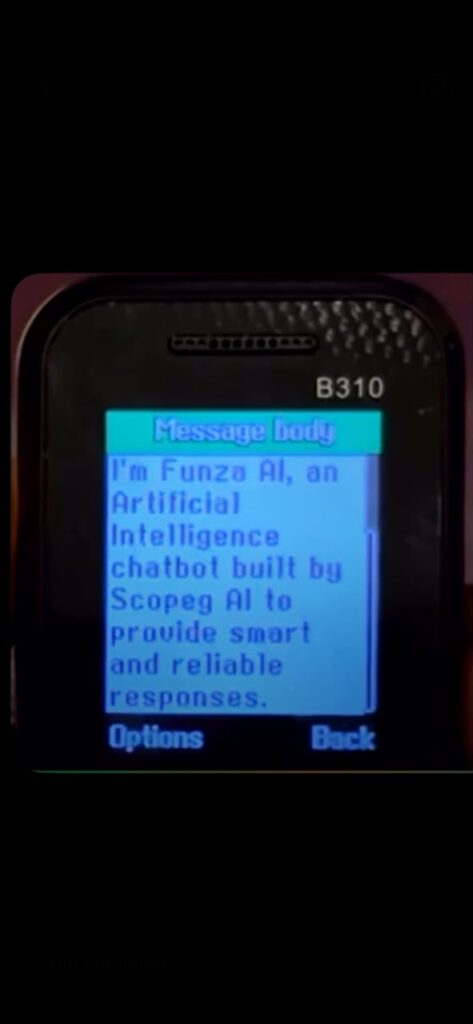 Ghanaian tech professionals develop SMS-based AI tool for non-smartphones
