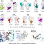 New spike map shows how SARS-CoV-2 variants dodge key antibodies