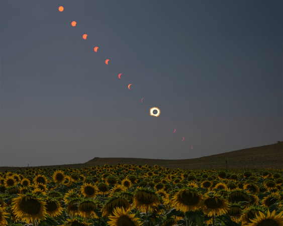 Awe-Inspiring Images from This Year’s Solar Eclipse