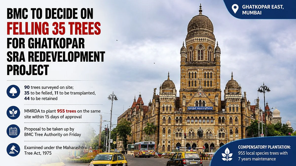 Mumbai: BMC Tree Authority To Decide On Felling 35 Trees For Ghatkopar Ramabai-Kamraj Nagar SRA Project