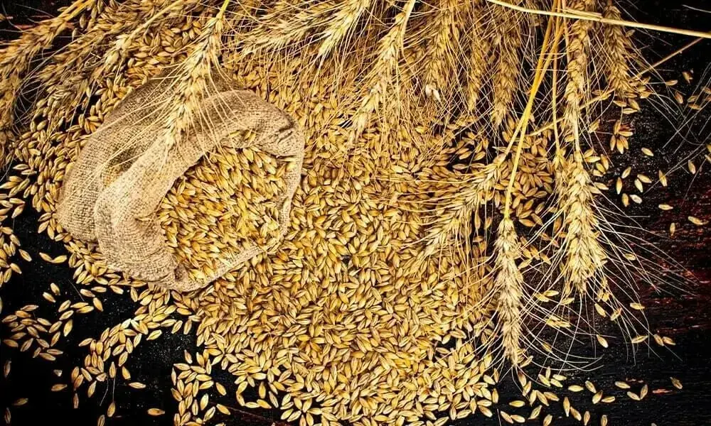 CAP calls for allowing private sector to import wheat