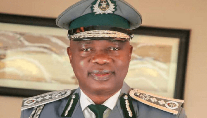Customs busts wildlife trafficking ring, rescues two lion cubs at Abuja Airport