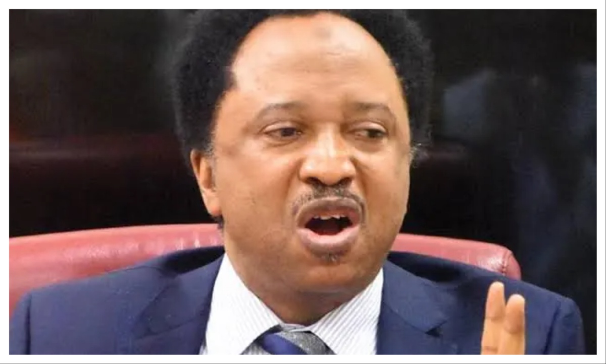 Osun election: Only miracle or magic can save Gov Adeleke from defeat – Shehu Sani