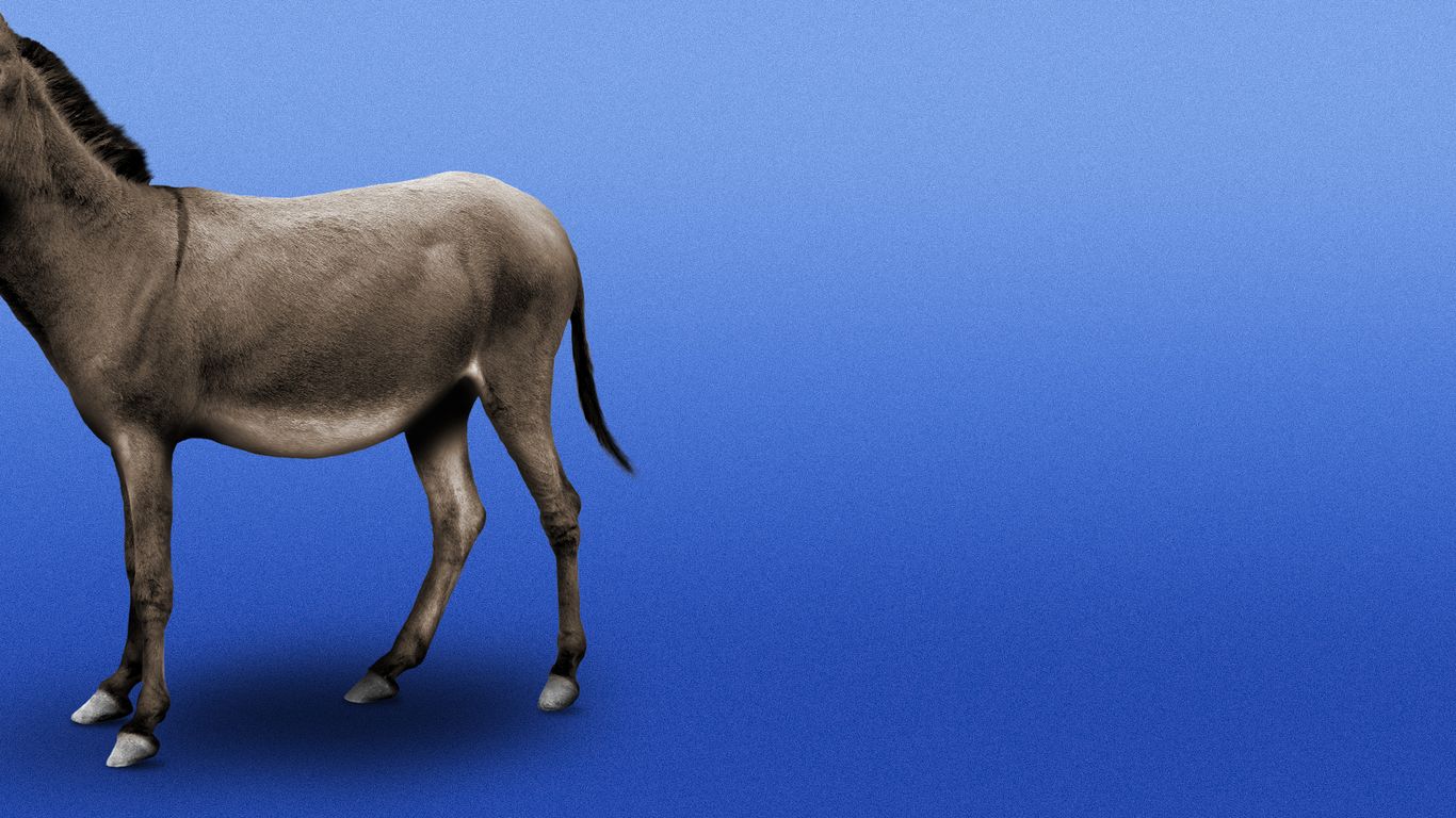 Democrats lack a leader right now — and might not get one until 2028