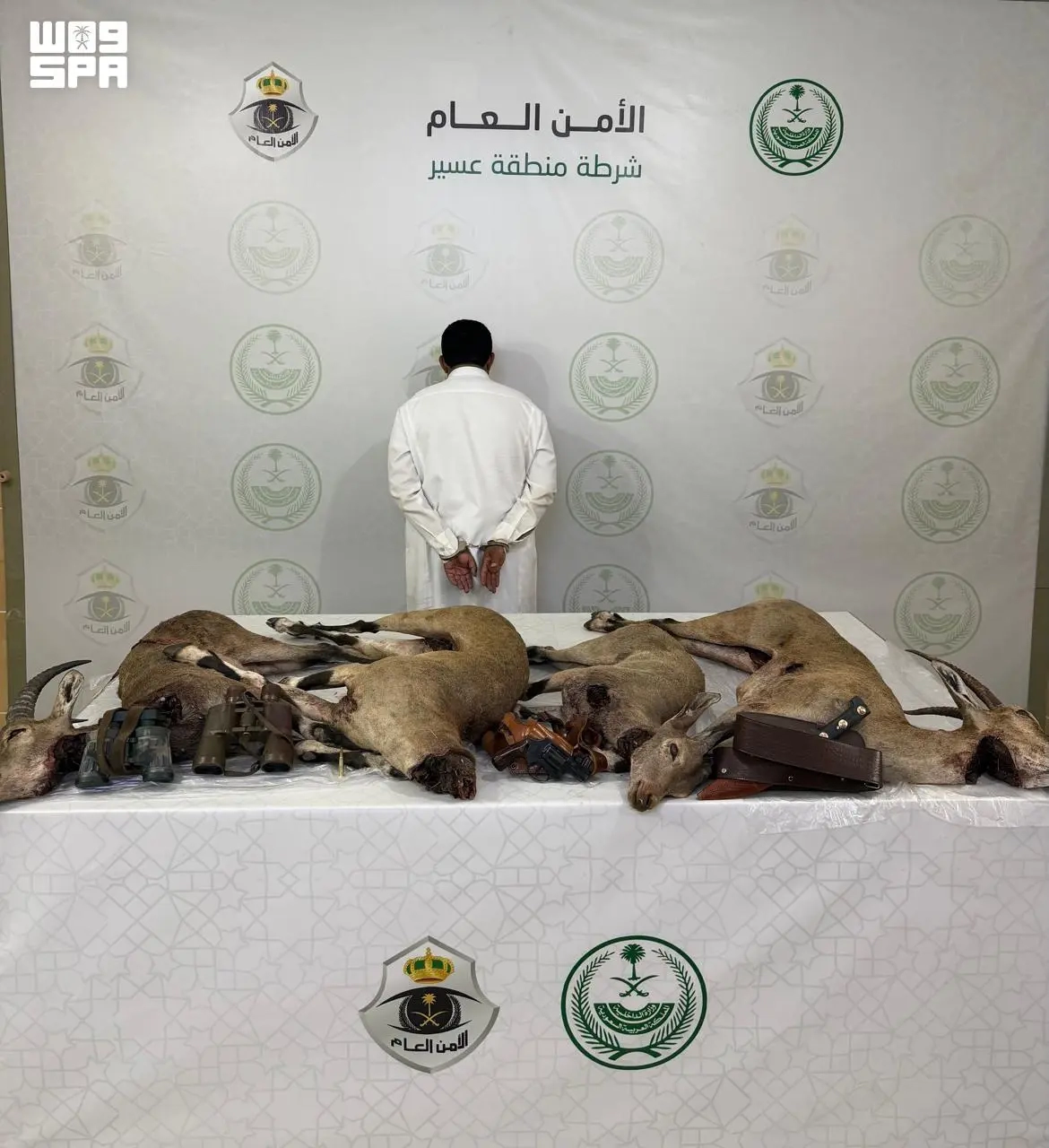 Asir police arrest a man for hunting endangered ibex