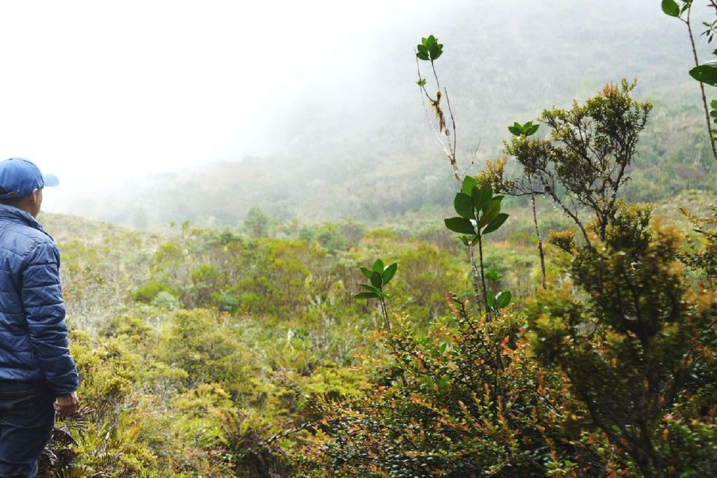 Colombia was the Deadliest Country in the World for Environmental Defenders in 2025