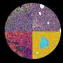 New single-cell atlas reveals the plasticity of the human pancreas