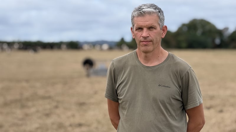 'It's costing €500 a day' - farmers counts dry spell cost