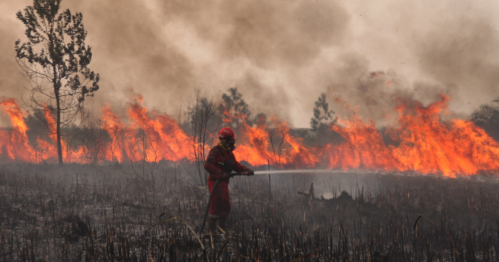 Wildfires could last till early-Nov. 2026, warns Indonesia forestry minister