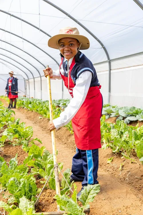 Soshanguve school opens horticultural tunnels for practical agriculture training