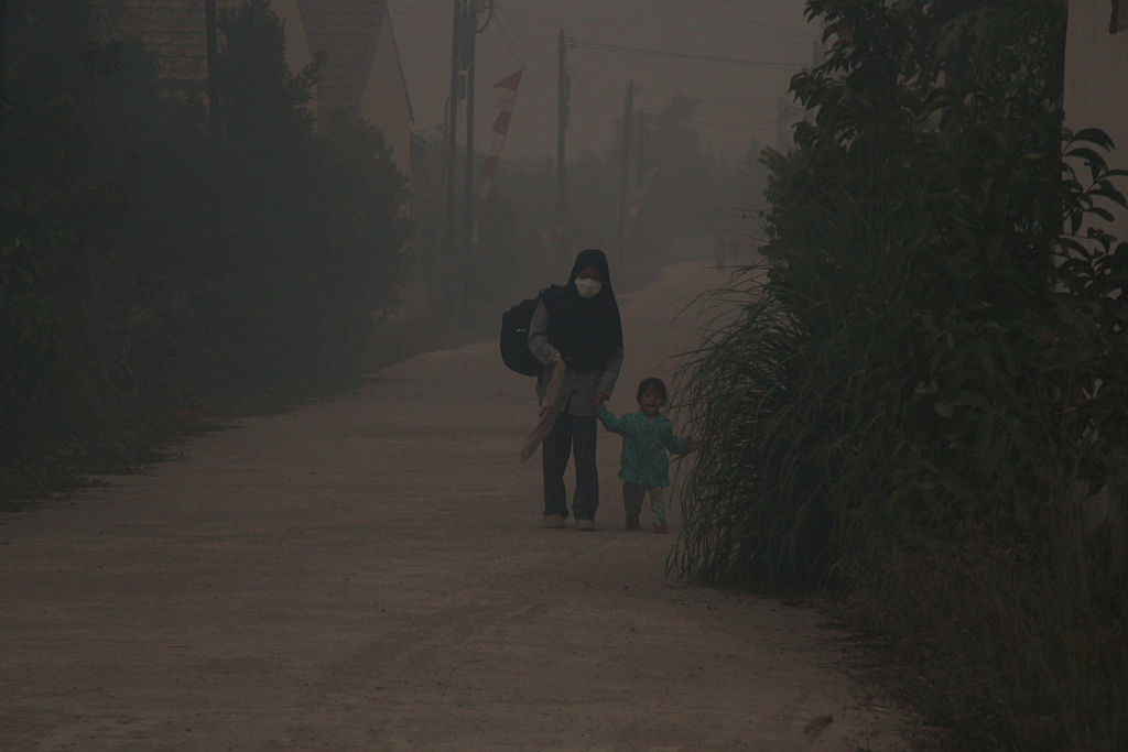 Why Southeast Asia Is Facing a Haze Crisis