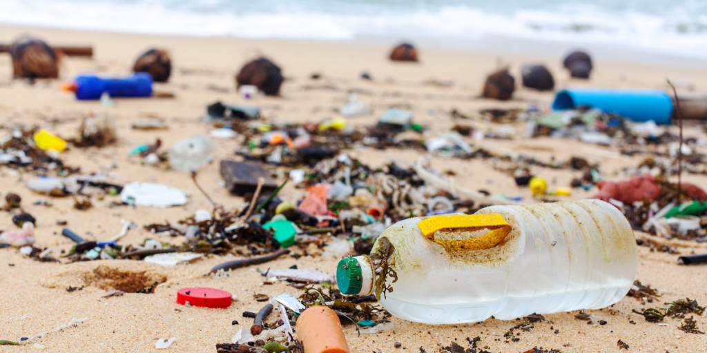Mallorca beach clean-up invites families to make a difference in Cala Major