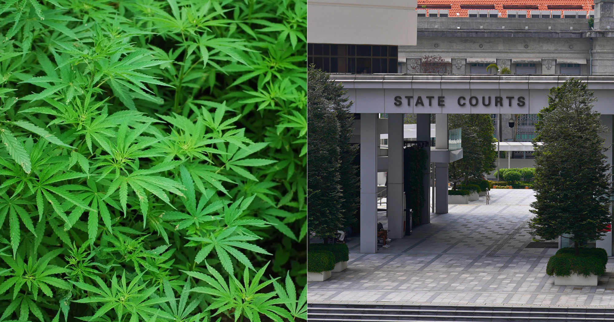 Man, 28, a S’pore PR, ordered cannabis online, parcel detected at SingPost Centre, given 2 years & 3 months’ jail