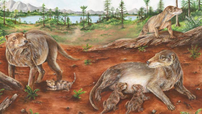 Fossil Evidence Pushes Back Origin of Live Birth by 90 Million Years