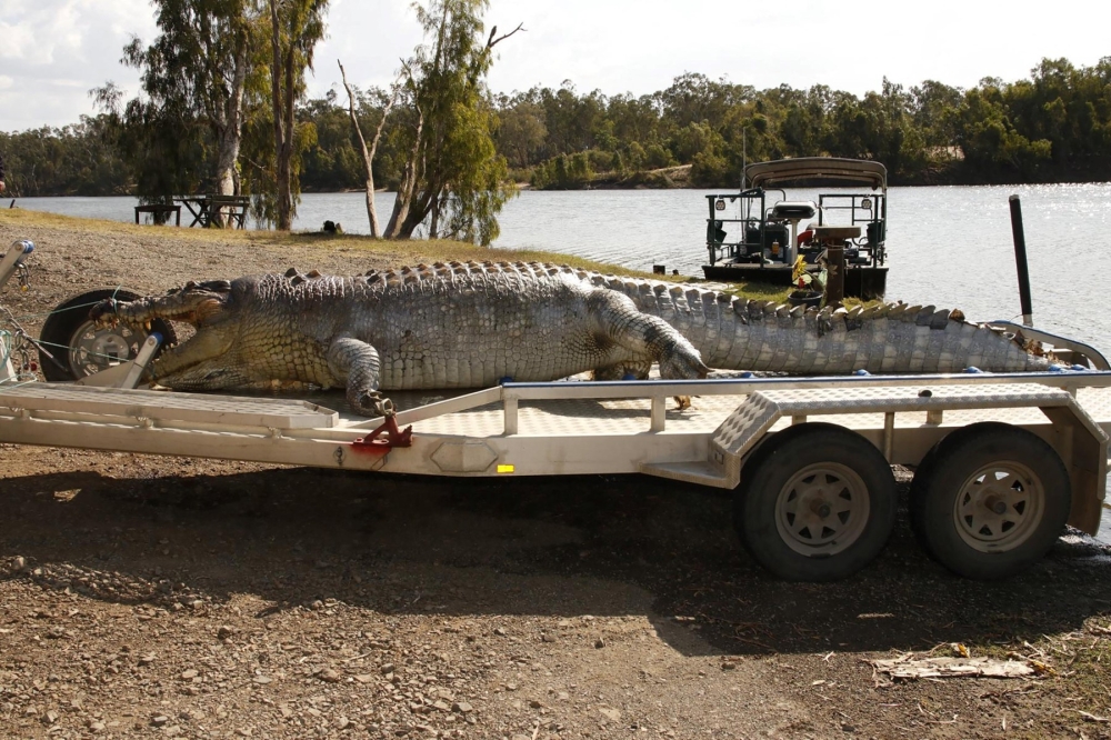 ‘Can do, not can’t do’: World rowing panel greenlights Fitzroy River for 2032 Brisbane Olympics, crocodiles and all