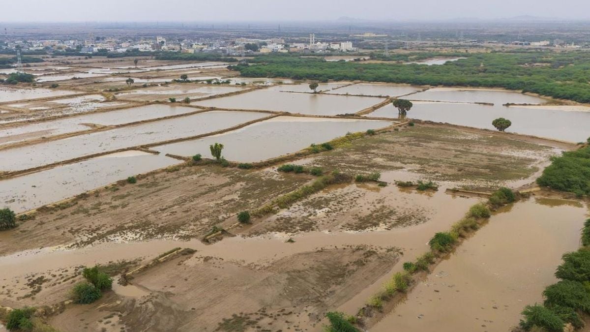 Heavy rains transform Baish into summer tourist destination