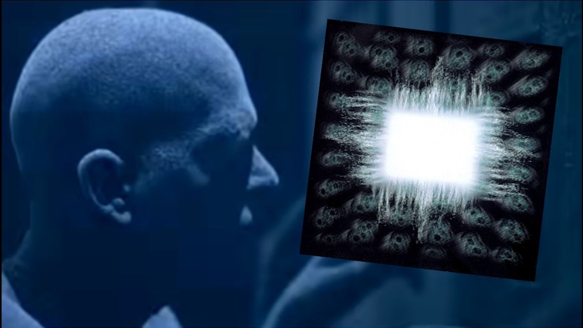 Mental Metal: A Look Back at Tool’s Ænima
