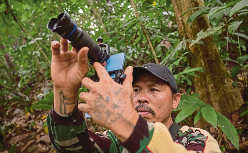 Indonesia hunters' rewarding switch to protectors