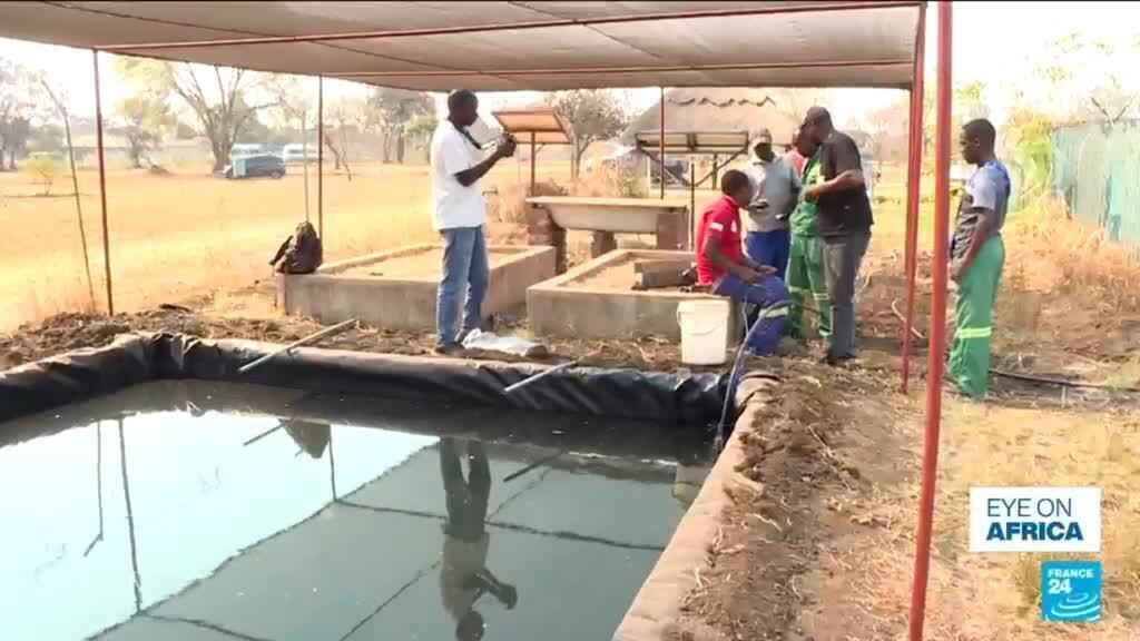 Zimbabwe farmers brace for El Niño by saving water
