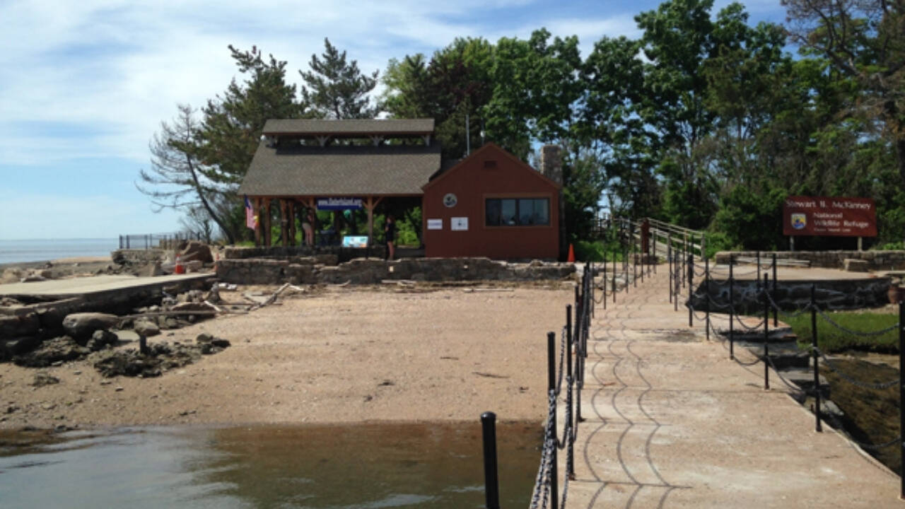 Connecticut woman donated island in husband's memory to protect wildlife