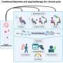 Ketamine and psychotherapy show promise as a combined approach to chronic neuropathic pain