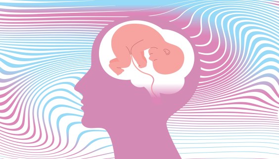 There’s a Neurological Basis for “Pregnancy Brain”