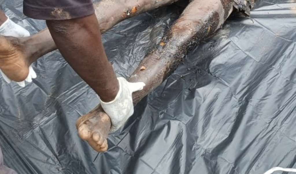 Farmer allegedly kills wife, dies by suicide in Bono Region