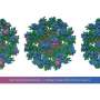 How to fine-tune molecular structures within vaccines to improve immune responses