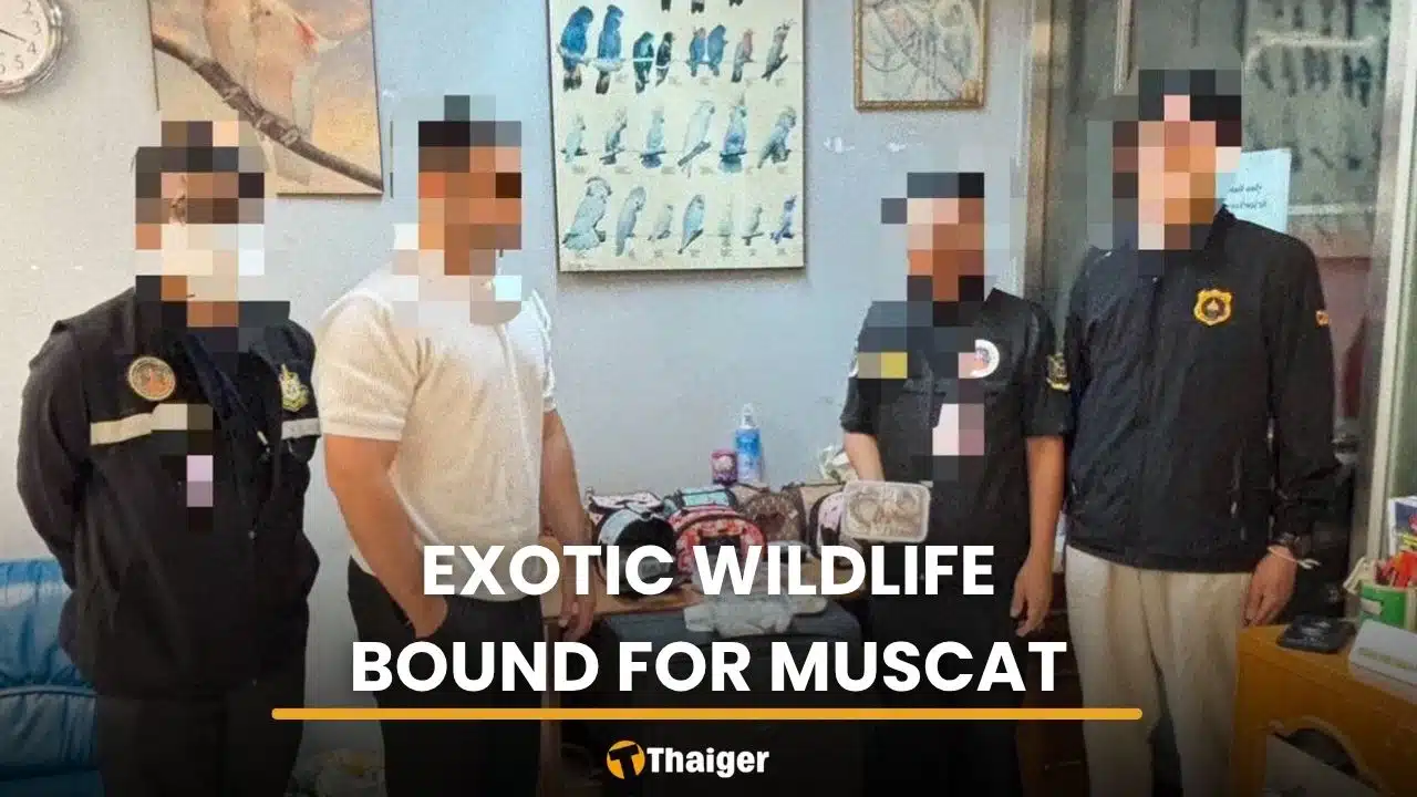 Omani man held with 22 live animals at Suvarnabhumi airport