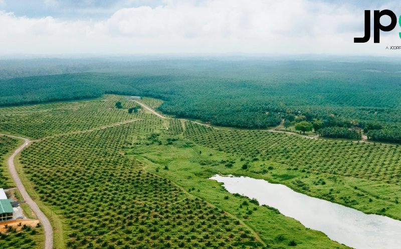 Johor Plantations' palm oil complex opens new growth avenue