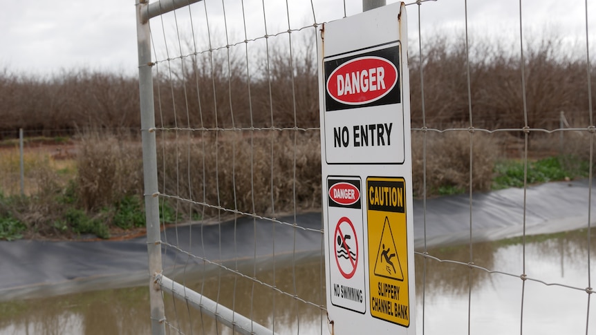 Kangaroo drownings in canal spark community concern