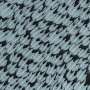 Two oceans, one country—and 20 times more sharks in the prehistoric Pacific