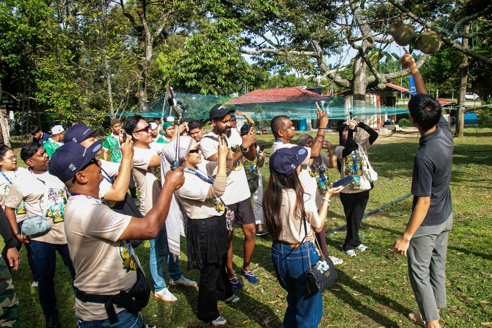 Durian whisperer Dickson Tai talks daily to orchard trees, nurturing Black Thorn for global glory