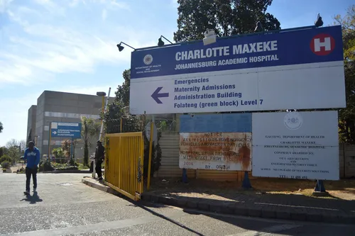 Gauteng records 156 kidney and liver transplants in five years