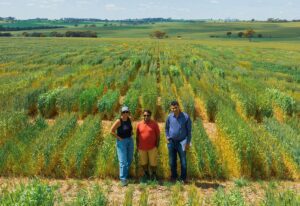Pangenome-Guided Breeding Boosts Yield and High-Altitude Adaptation in Buckwheat