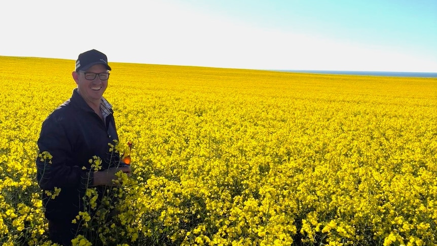 Farmers rejoice as 'once-in-a-lifetime' wet season follows drought