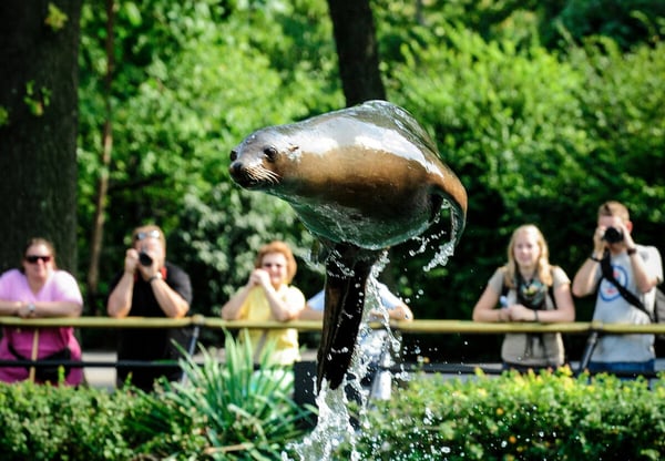 The 7 best zoos in the U.S., ranked
