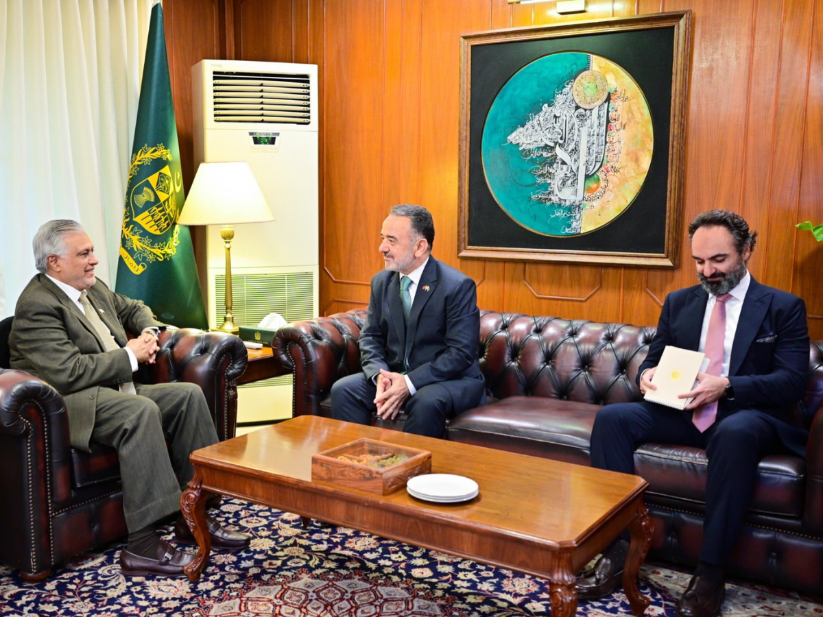 FM Dar urges closer coordination ahead of Pakistan-Türkiye strategic council