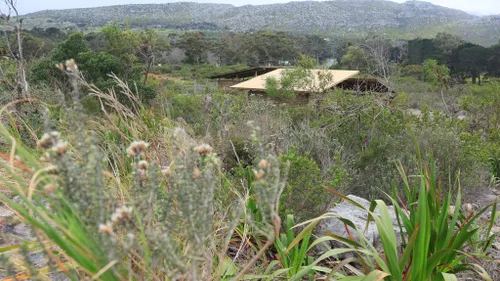 R10m Cape Town wildlife centre completed for Simon’s Town baboon troops