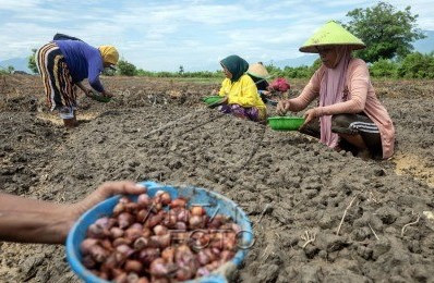 Women’s groups challenge jobs law over discriminatory provisions
