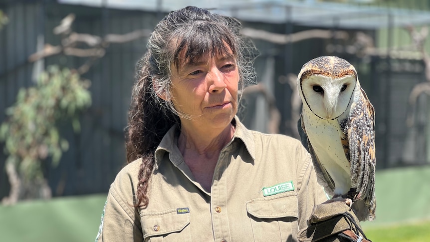 Bird keepers call for vaccines as avian influenza cases spread inland