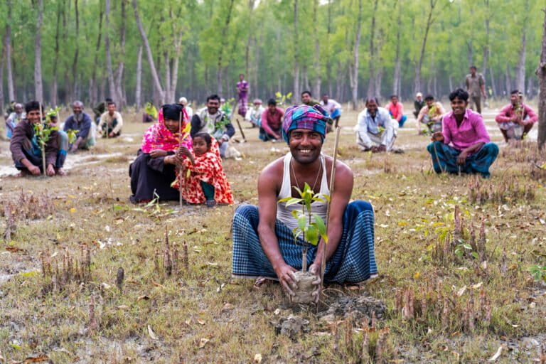 Bangladesh plans to plant 250 million trees. Keeping them alive will be harder