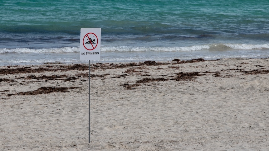 Mitigation debate looms as WA shark attack deaths hit six-year high