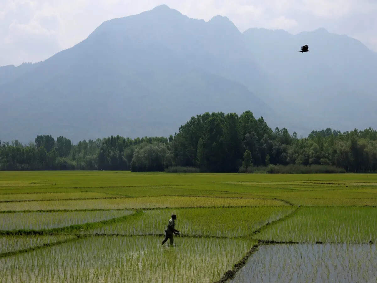 India’s cheap-urea model faces an expensive reckoning