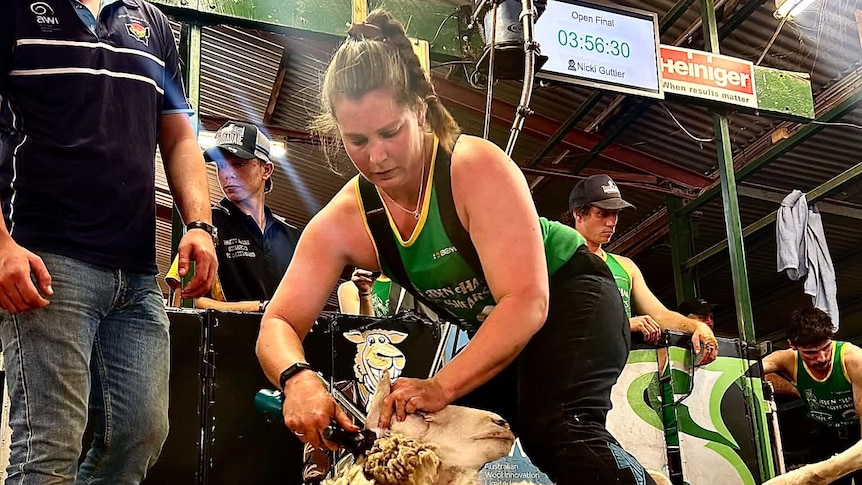 Courageous woman's journey from back injury to shearing shed glory