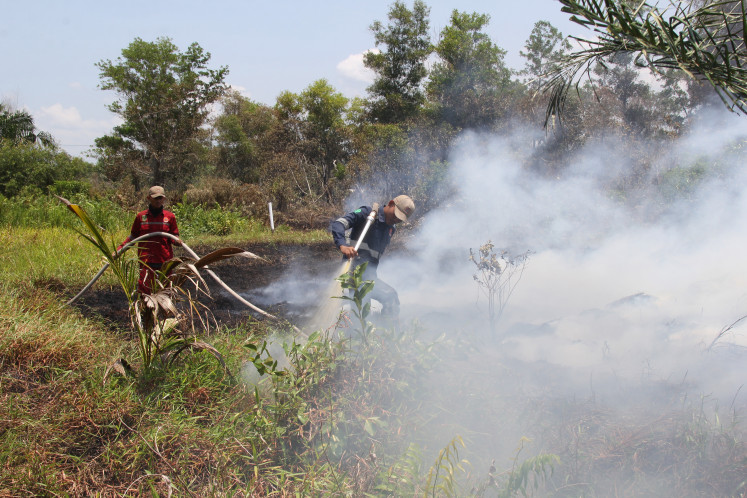 Riau struggles to tackle forest fires amid budget cuts