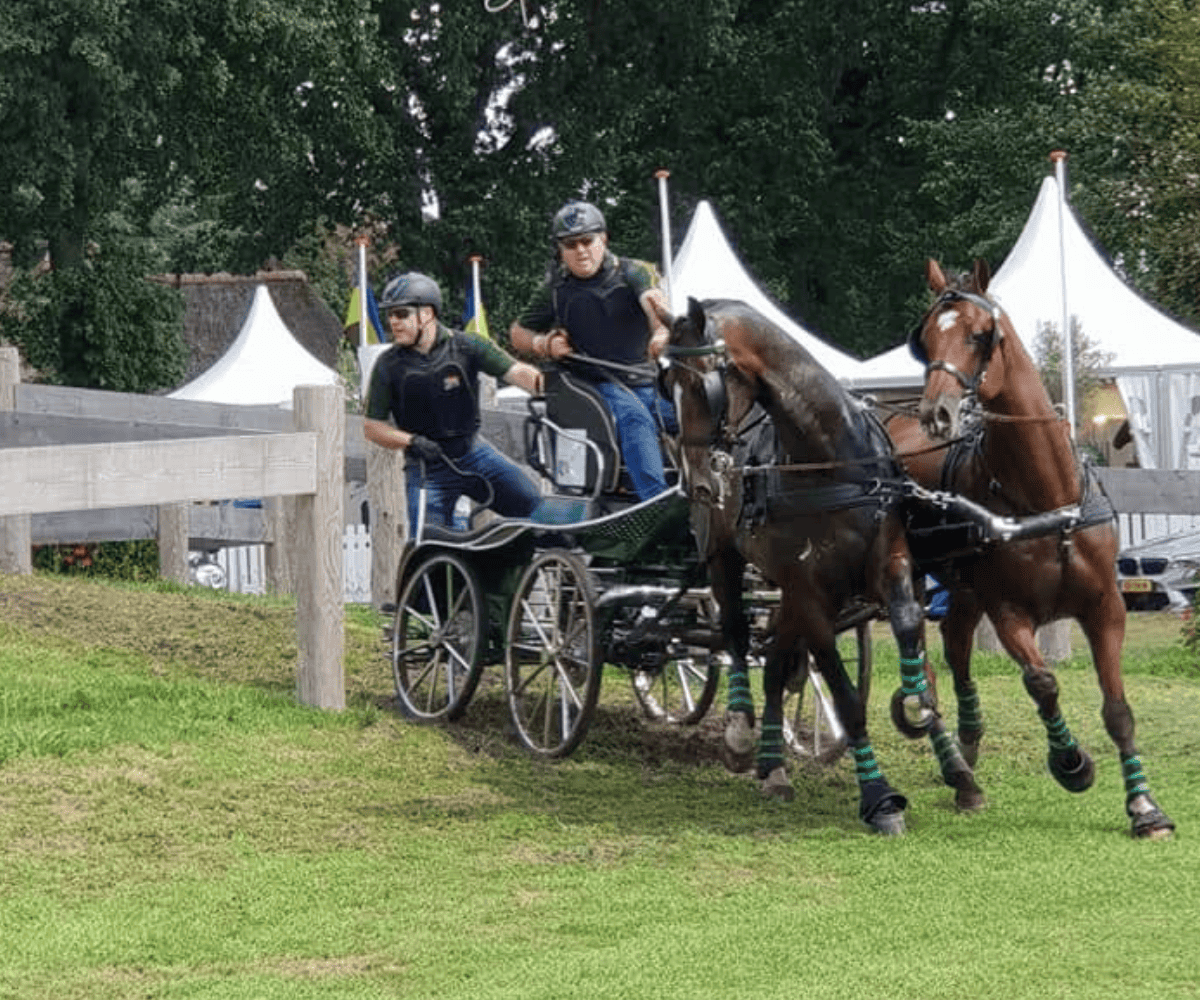 SA carriage driver Wayne van Niekerk set for historic Aachen debut