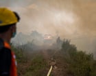 Indonesia wildfires threaten orangutans rescued from animal traffickers