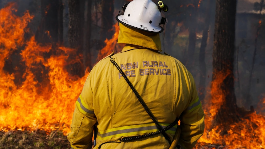 Hazard reduction burns fast-tracked as NSW faces higher fire risk